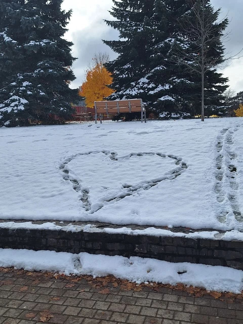 A heart traced in fresh snow