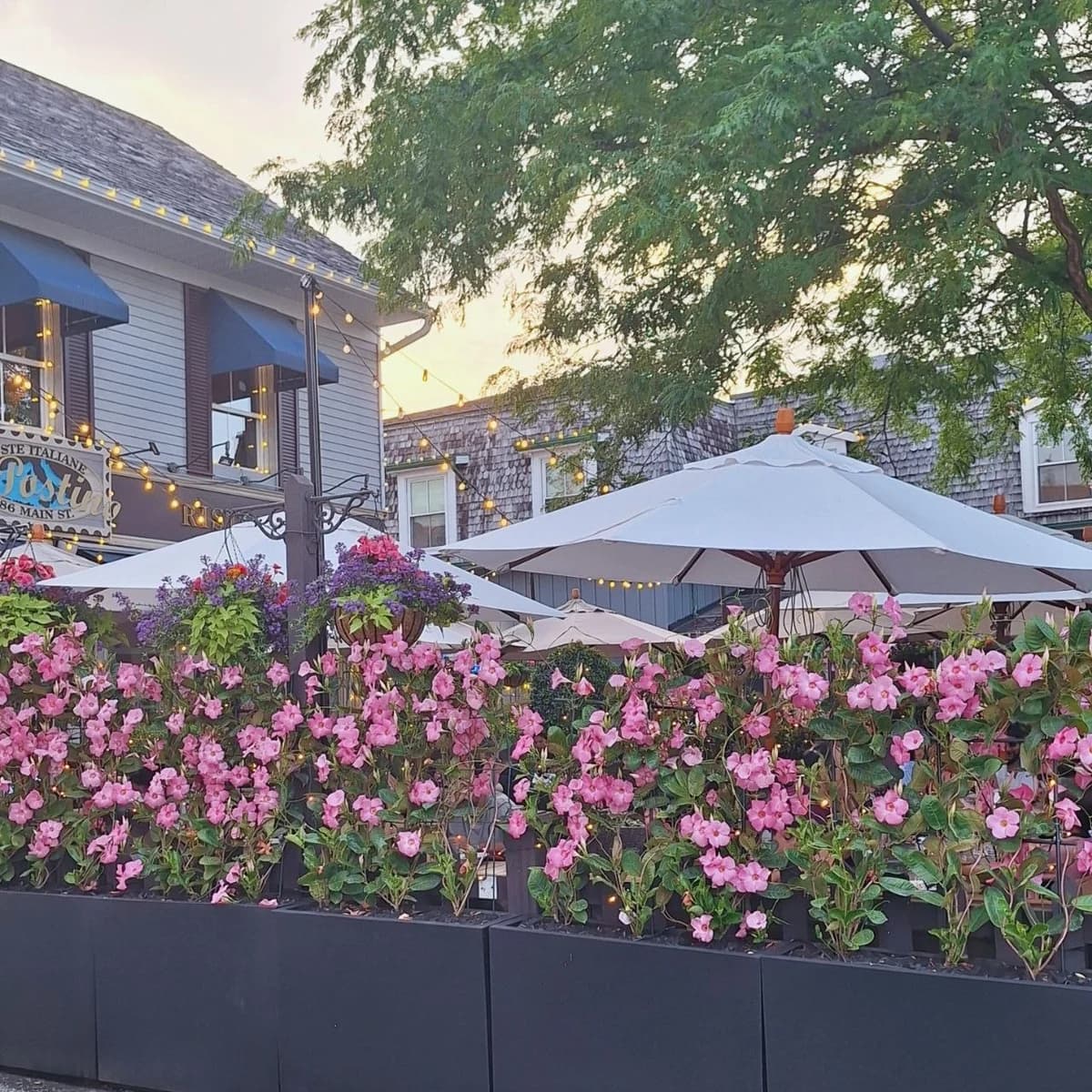 Pink flowers above a restaurant patio