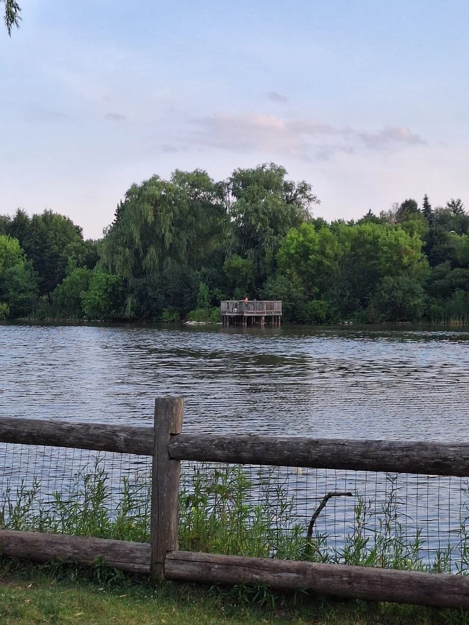 Green water along the edge of a river