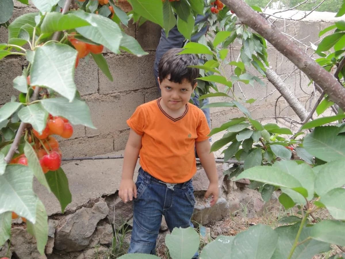 A child among fruit trees